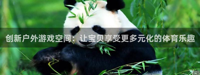 征途国际平台是正规平台吗：创新户外游戏空间：让宝贝享受更多元