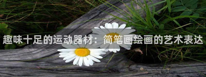 征途国际娱乐首页网站大全：趣味十足的运动器材：简笔画绘画的艺