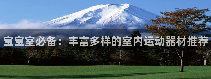 征途国际官网：宝宝室必备：丰富多样的室内运动器材推荐