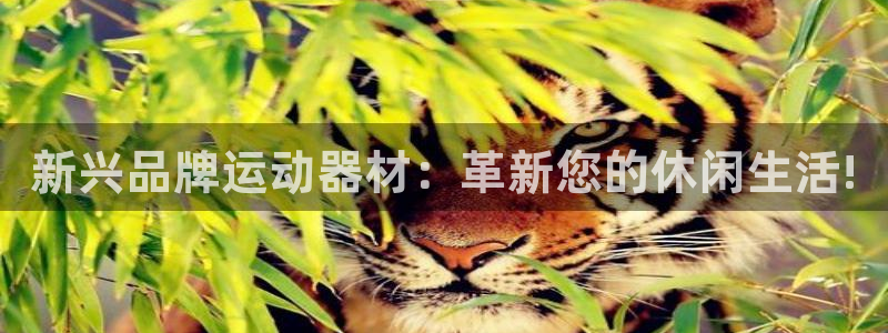 征途国际平台注册要钱吗是真的吗：新兴品牌运动器材：革