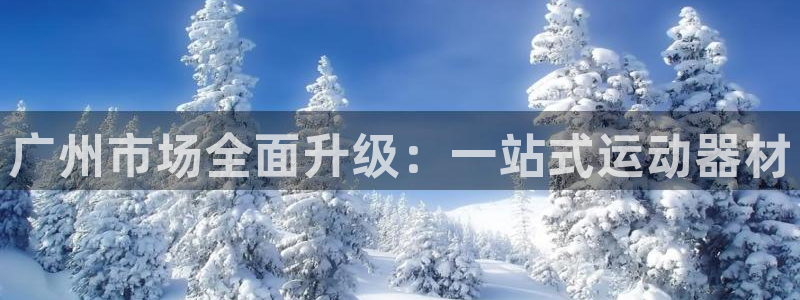 征途国际娱乐