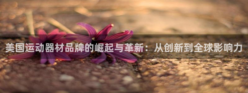 德国征途国际集团：美国运动器材品牌的崛起与革新：从创新到全球