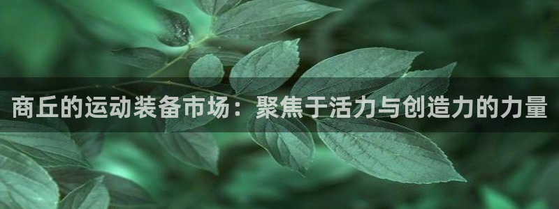 征途国际招商电话是多少啊：商丘的运动装备市场：聚焦于活力与创