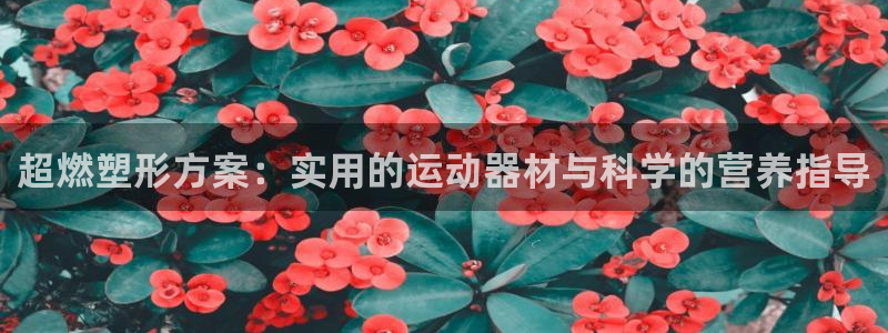 征途国际五金厂：超燃塑形方案：实用的运动器材与科学的营养指导