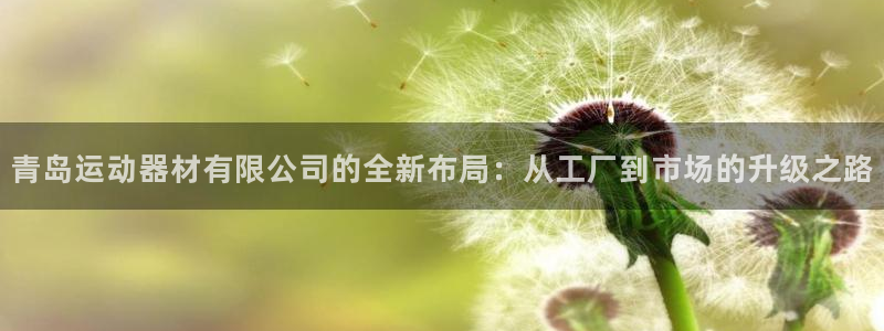 征途国际招商电话号码是多少啊：青岛运动器材有限公司的全新布局