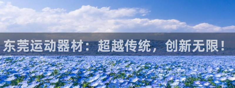 征途国际娱乐是那个系列的台子