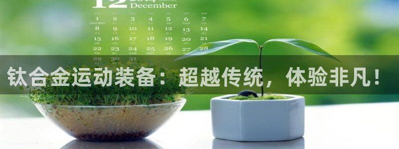 征途国际集团logo