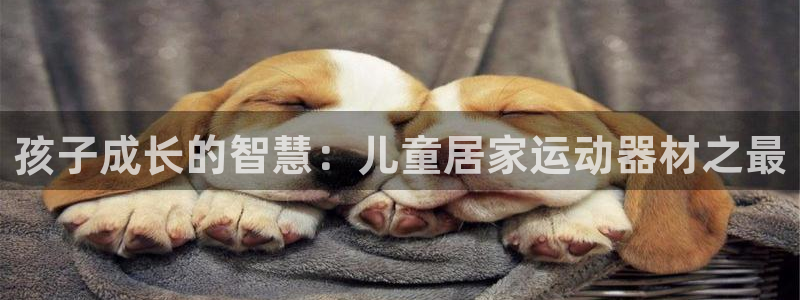 征途国际是干嘛的公司：孩子成长的智慧：儿童居家运动器材之最